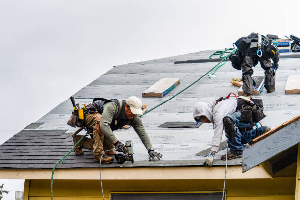 Professional Roof Repair technician working in Tioga, ND